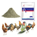 Medicina natural pura a base de hierbas, aves de corral, huevos de gallina, medicina para la producción